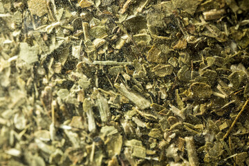 Yerba mate (Ilex paraguariensis) with stems in transparent container, full-frame close-up	