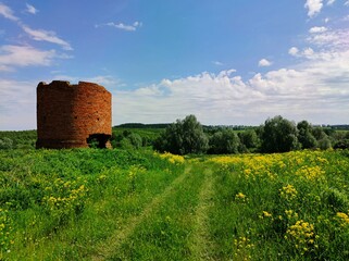 country road along a green field with grass and yellow flowers near an old broken brick tower on a sunny day against a blue sky with clouds in a beautiful landscape