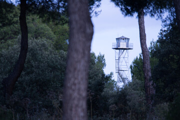 widok krajobraz drzewa niebo chmury wieża