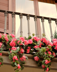Fototapeta na wymiar Flowers on balcony in Barcelona, Spain. Decoration outside the window