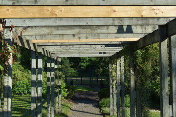 Beautiful Wooden Entrance Door in a Park Covered With Greenery.