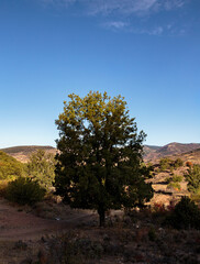 Otoño en Albarracín