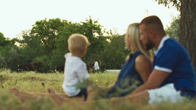 Happy family is sitting on the grass and looking at cows