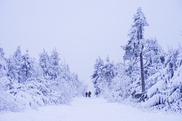 Winter forest in the mountains with hiking people in the snow located in Oberwiesenthal, Germany