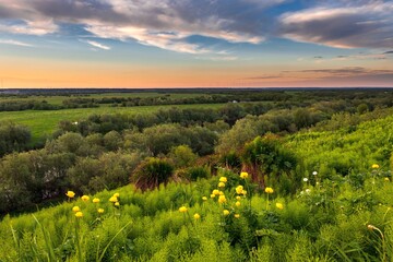 Beautiful landscape with wildflowers on a hill, river valley and sunset.