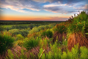 Beautiful landscape with wildflowers on a hill, river valley and sunset.