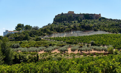 Fototapeta na wymiar Montesa castle located on hillside. Valencian Community, Spain