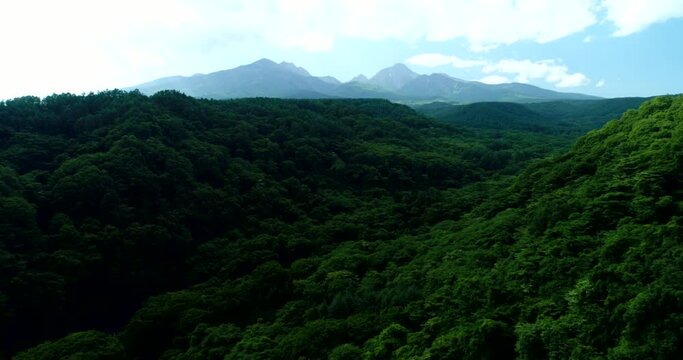 Aerial : High peak mountains and deep green forest