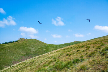 Awesome mountain landscape, nature and its beauty withs a flock of birds,  located on the Red Mountain, Romania.