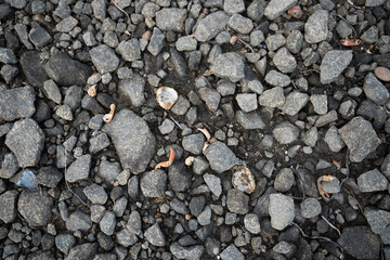 Gravel with dirt texture on the ground.