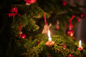 Candle on the christmas tree.