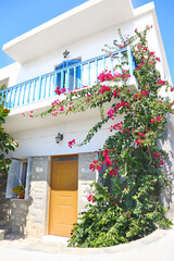 traditional white houses and bougainvilleas at ANo Koufonisi island Greece
