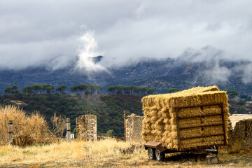 Landscape of Sierra de Grazalema natural park, Cadiz province, Andalusia, Spain.