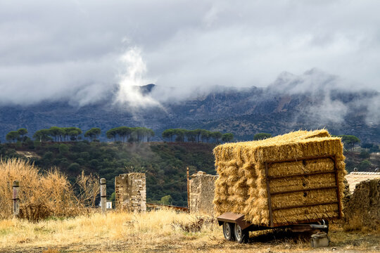 Landscape of Sierra de Grazalema natural park, Cadiz province, Andalusia, Spain.