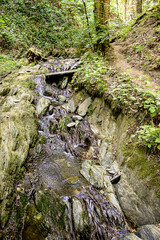 entlang eines Weges durch eine Klamm in den Sauerländer Wäldern