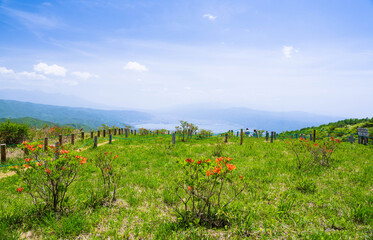 初夏の高ボッチ高原