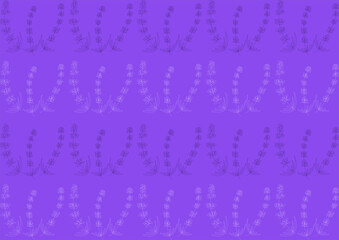 Lavender flowers hand drawn, purple background