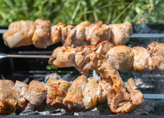 shashlyk coal fried meat on sticks close up