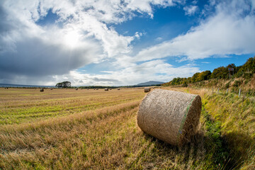 Hay bale in field of straw in the Scottish highlands