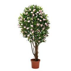 Artificial oleander tree with pink buds like real as modern evergreen ecological decoration for interiors of house, malls, restaurants. isolated on white background