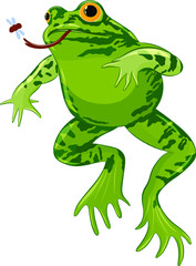 Fototapeta premium frog with his tongue out eating a fly