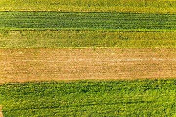 Aerial view of green agricultural fields in spring with fresh vegetation after seeding season on a warm sunny day.