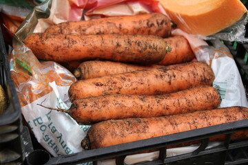 carrots, chernozem, carrots from the ground