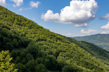 Green mountain with trees and clouds in a blue sky. Italian Appennini mountain
