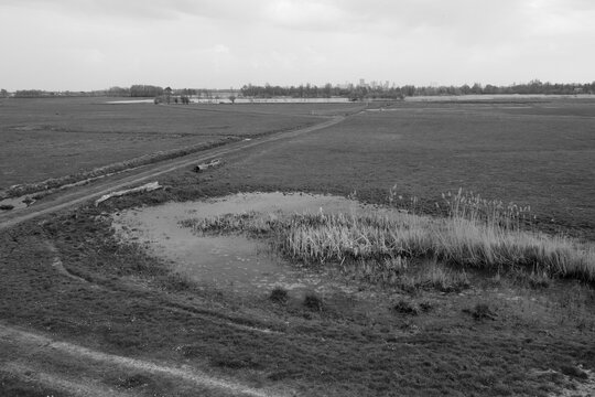 black and white photograph of a meadow with a small pond