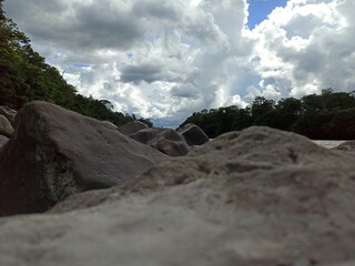 
Living nature and landscapes