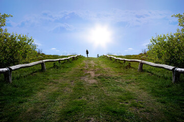 Panoramablick. Feldberg.