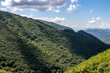 Green mountain with trees and clouds in a blue sky. Italian Appennini mountain