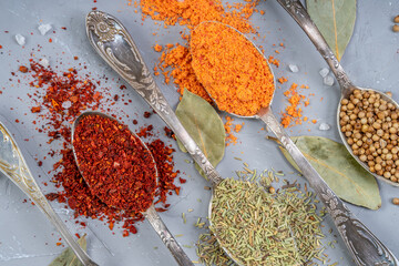 various spices in metal silver spoons with large crystals salt