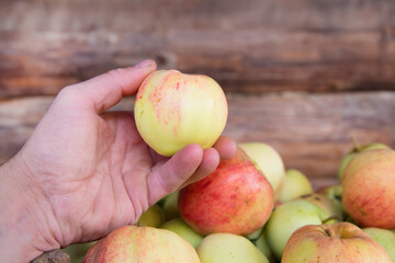 Man's hand holds an apple. In the background is a log wall.