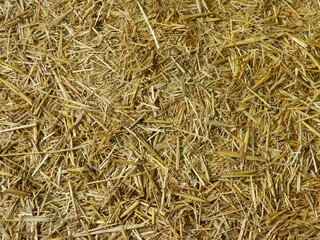 finely chopped straw as background