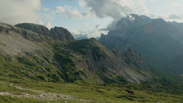 Dolomites horse walking foreground with Nikon Z6 and Atomos Ninja V ProRES