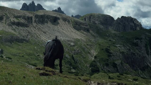 Dolomites horse static with Nikon Z6 and Atomos Ninja V ProRES