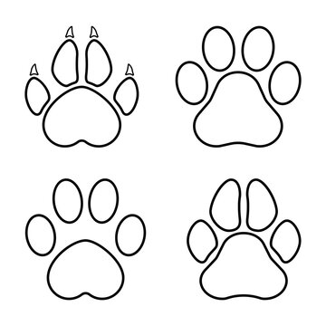 Footprints of animals. Imprint of a tiger's, trace of the cat. Paw of an animal, canine lion, traces of dog paws.