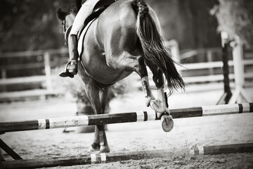Black-and-white image of a sports racehorse with a long tail jumping beautifully over a barrier at...