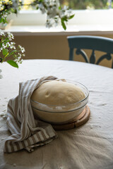 Step by step process of making yeast bread. Yeast dough rising in glass bowl on table.