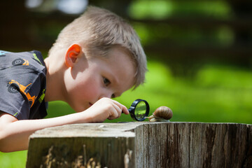 Young boy looking at snail through hand magnifier
