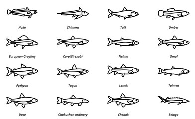 Fish linear icon. River fishing fish.