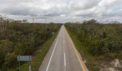 carretera bosque camino despejado