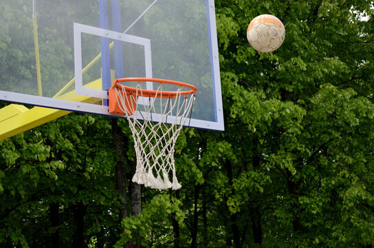 football flies into basketball carzine against the background of green trees in the park