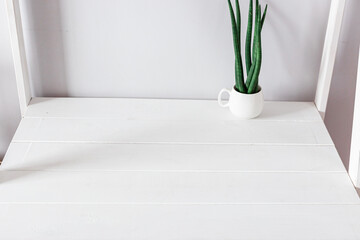 minimalist white desktop with decorative plant