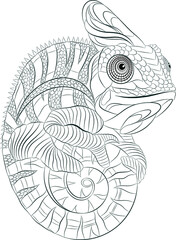 black and white chameleon fun for coloring