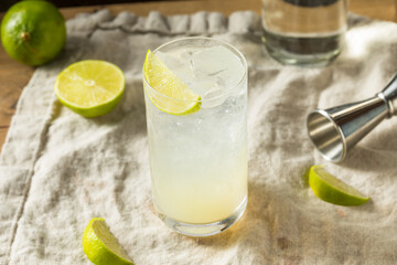 Boozy Alcoholic Lime Gin Rickey Cocktail