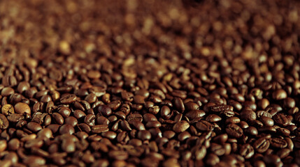  texture roasted coffee beans with soft focus