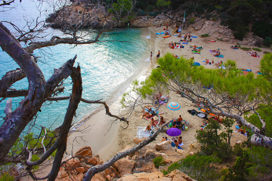 the summer tourist destination of cala saladeta between sea and wild nature and trees and crystal clear water