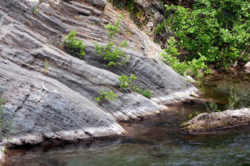 Stream in Ida Mountain, Beautiful nature. Turkey.